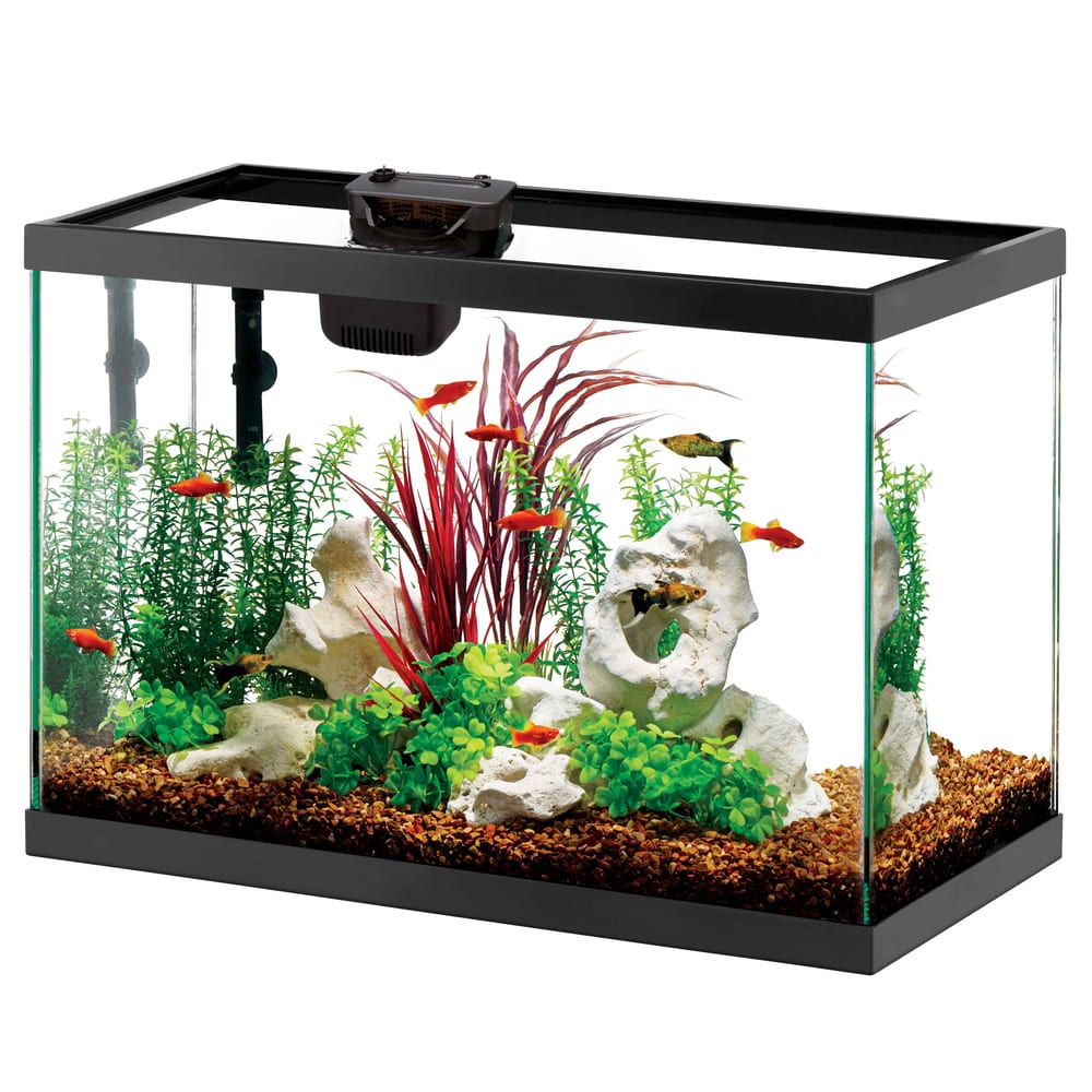 Kit acquario in vetro Aqueon LED da 75 litri con filtro SmartClean