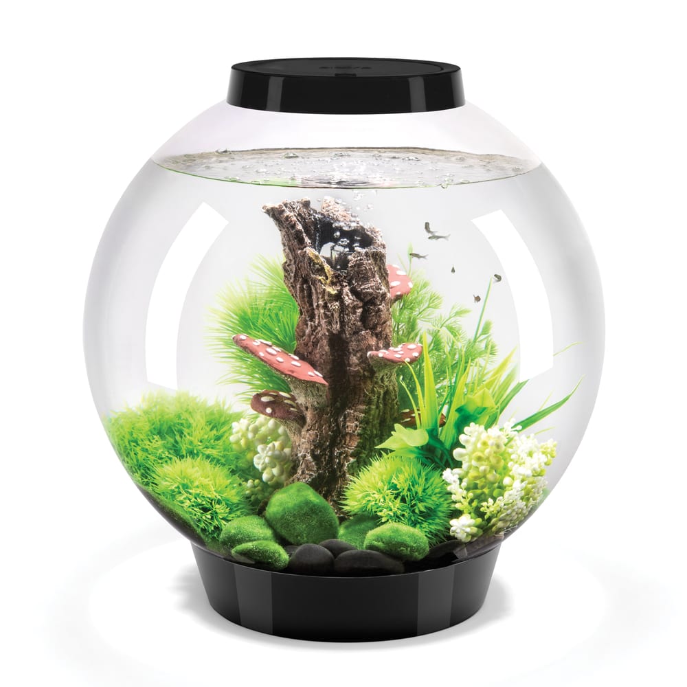 Acquario a sfera in acrilico biOrb Classic 30, 30 litri, con illuminazione LED con telecomando