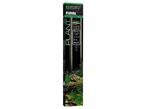 Luce LED Fluval Plant 3.0 controllata da app montata sopra un acquario piantumato