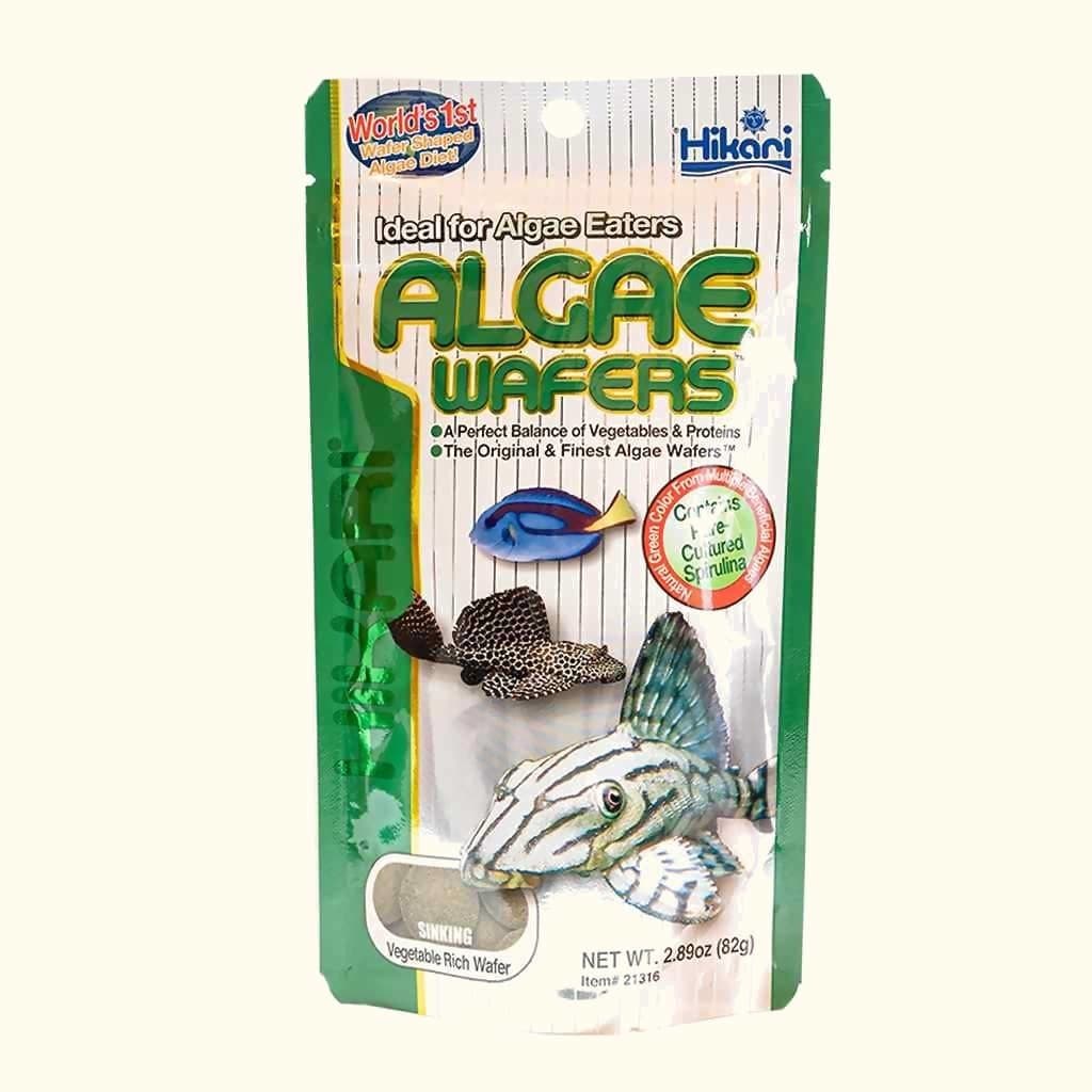 Confezione di wafer affondanti Hikari Algae Wafers per pesci mangia-alghe