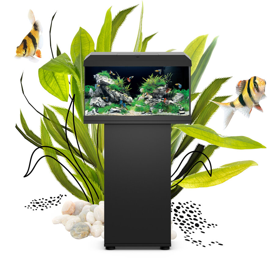 Acquario Juwel Primo 70 LED nero con copertura e filtrazione integrata