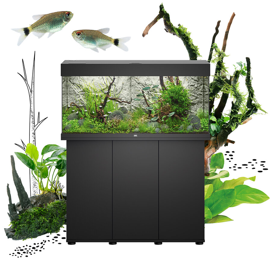 Acquario Juwel Rio 180 LED nero su mobile abbinato con aquascape piantumato