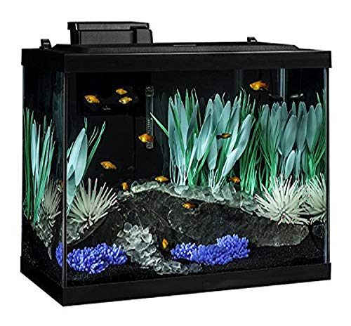 Kit acquario Tetra ColorFusion da 75 litri con LED che cambia colore e filtro Whisper